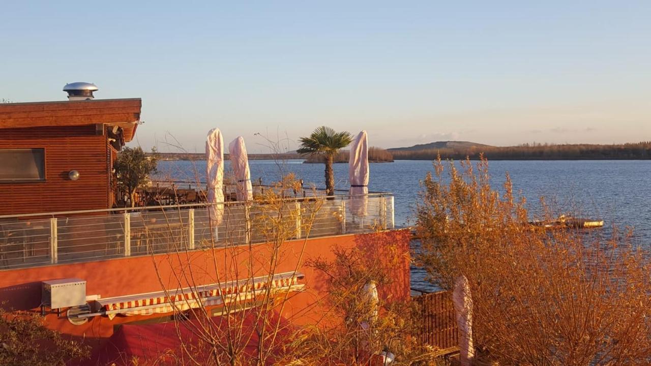 Pool & Ferienhaus Markkleeberg