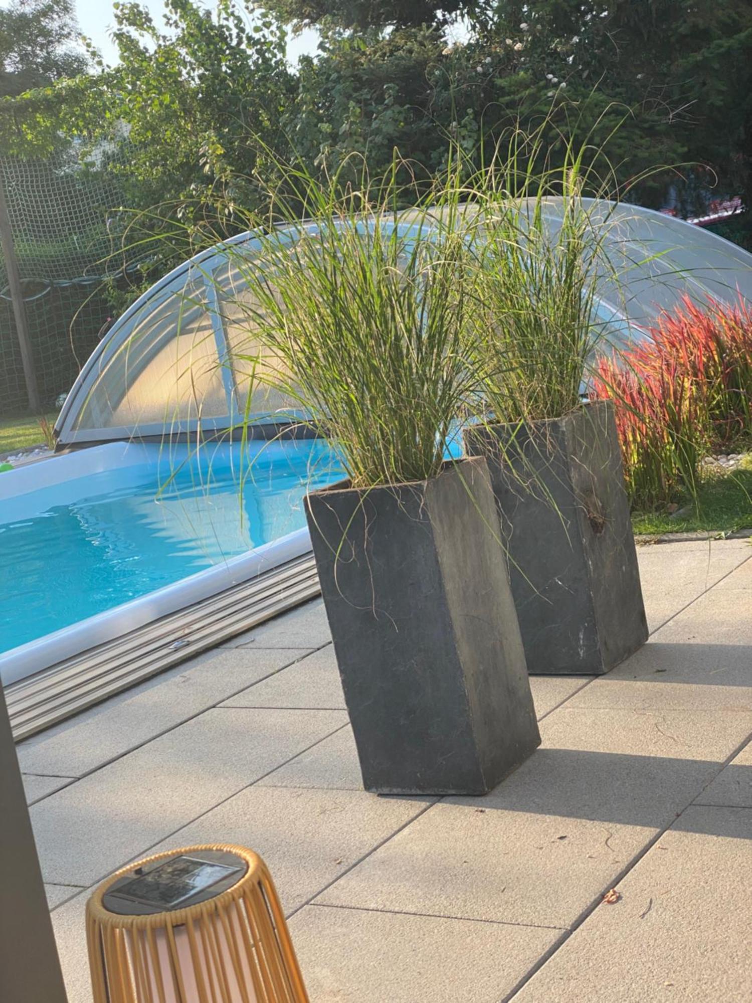 Pool &