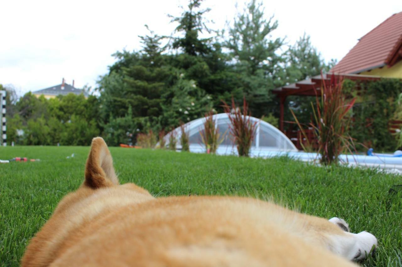 Ferienhaus Pool & *